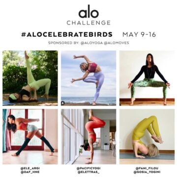 CHALLENGE ANNOUNCEMENT AloCelebrateBirds challenge May 9th – 16th In