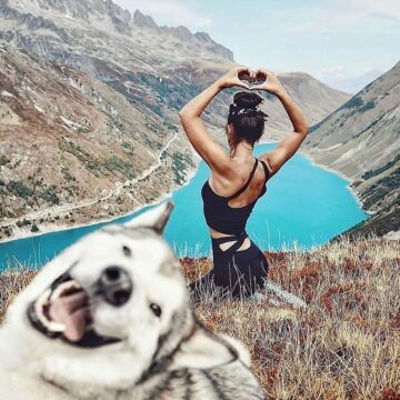 Hatha Yoga Classes When your inner peace touches your dog