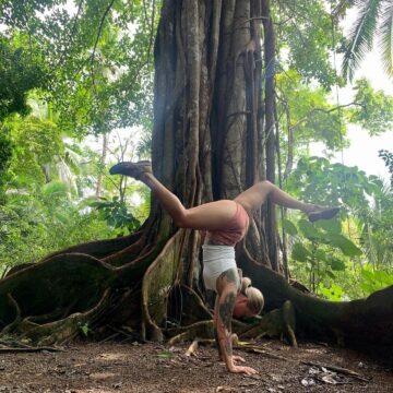 Jade Flexibility Coach When you see this amazing tree you