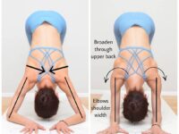 LIVEDAILYFIT YOGA Dolphin pose is a pretty hard pose