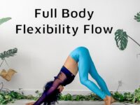 MIZ LIZ YOGA WELLNESS Full body flexibility flow When