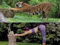 Tag your favorite Yogi A yoga posture is simply