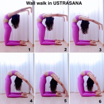 Wall walk in USTRASANA Camel pose this is
