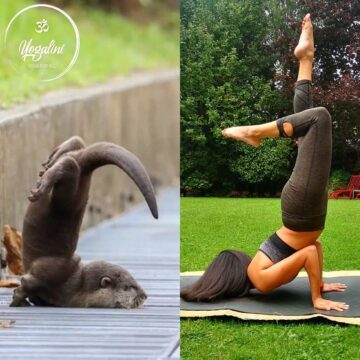 Yoga For The Non Flexible Who else loves these photos