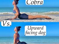 YogaTips Follow @yogatips Cobra or upward facing dog and what