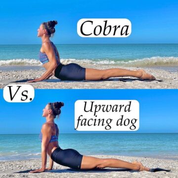 YogaTips Follow @yogatips Cobra or upward facing dog and what