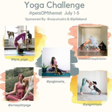 ᴋᴀᴛ yoga enthusiast Calling all animal lovers and pet
