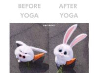 1633707061 Yogis Daily Classes Follow @yogisdailyclasses For More Yoga Tips