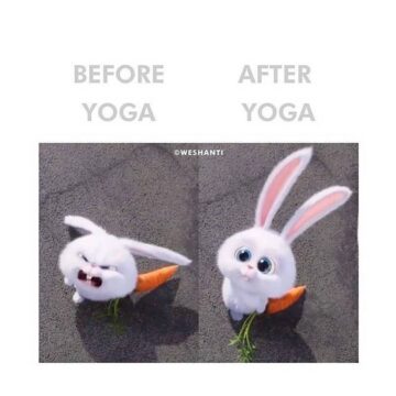 1633707061 Yogis Daily Classes Follow @yogisdailyclasses For More Yoga Tips