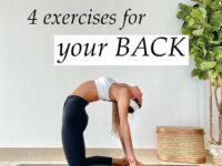 4 exercises for your back • Follow @yogisdailyclasses
