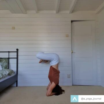 ALIGN APP Practice Yoga Wait WHAT I can wiggle