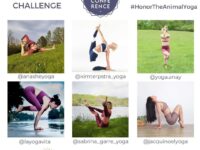Challenge Announcement HonorTheAnimalYoga June 14 21 Its time to honor