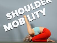 Did you know the shoulder joint is the most