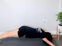 Have you tried straight arm planks extended in front