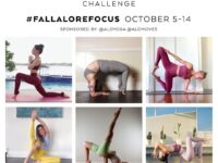 Kelley Wheelock Challenge Announcement The fall season can bring so