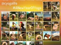 Olga Yoga Приглашаю присоединиться @tabuyoga @margoyogi @yogasofia @ladybird2112
