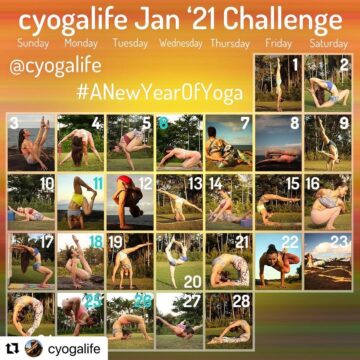 Olga Yoga Приглашаю присоединиться @tabuyoga @margoyogi @yogasofia @ladybird2112