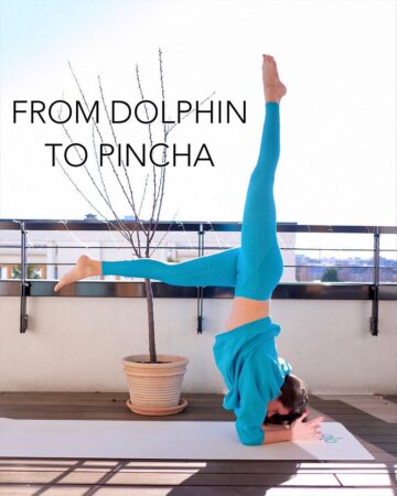 Pia ᵂᴱᴿᴮᵁᴺᴳ From dolphin to pincha sounds easy right I