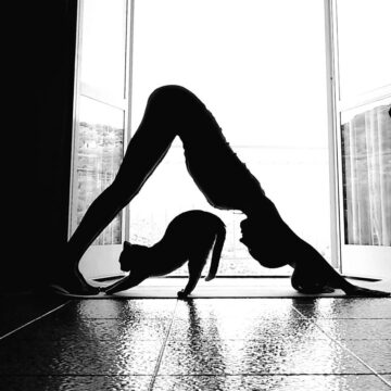 Same same yoga fitness meditation yogapractice love yogainspi