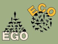 YOGA DIABLO Eco Ego Practicing yoga helps to
