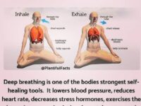 YOGA DIABLO Yoga Breathing or Pranayama is the foundation of your yoga