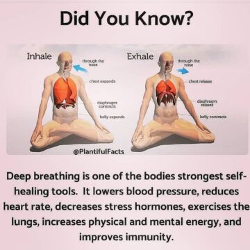 YOGA DIABLO Yoga Breathing or Pranayama is the foundation of your yoga