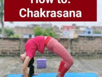 YOGA EVERY DAY ChakrasanaUrdhva dhanurasanaWheel YogaTeacher @palak sah  Benefits Strengt