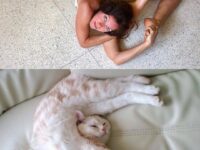 YOGA EVERY DAY Happy Monday wonderful people Have a purrr fect
