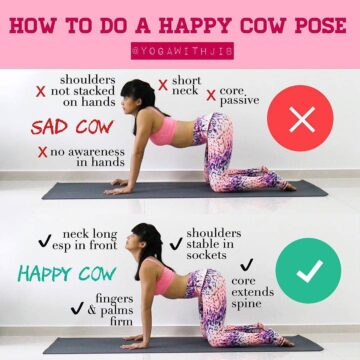 Yoga Alignment TutorialsTips @yogawithjib @yogaalignment Is your CowPose Bitilasana happy