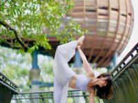 Yoga Certified Soothing and calm environment With some leaves on