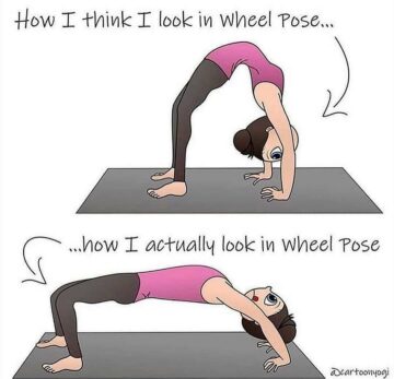 Yoga Flows Asanas Poses Can you relates to this credit