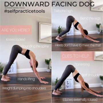 Yoga Strength DOWNWARD FACING DOG How does downwardfacingdog feel