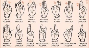 Yogis Daily Classes Mudras are hand gestures during meditation that