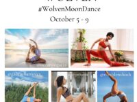 shosh new challenge alert WolvenMoonDance october 5 9 sponsor @wolven as