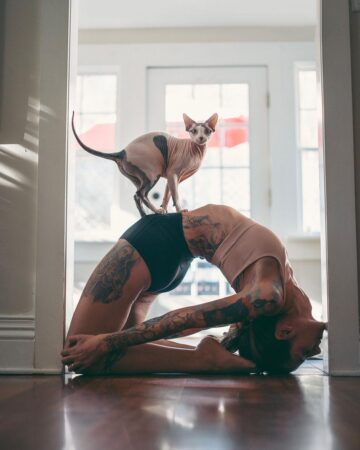 yogaloveflow In ancient times cats were worshipped as gods Melinda