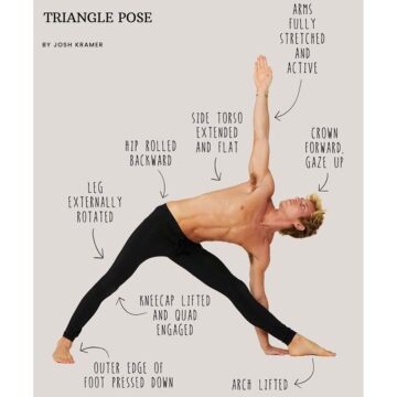 1638660789 Halona Yoga Yoga poses to stretch hamstrings Proper alignments