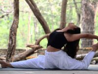 1640110841 soul with yoga @soul with yoga support @soul with yoga daily new yoga posture credit