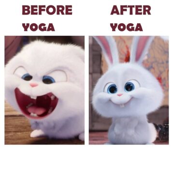 @ Anyone can relate to this Practicing yoga helps to regulate