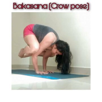 @ BakasanaCrow Pose is a compact arm balance tones and strengthens