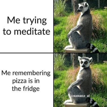@ Pizza and mediation go hand in hand right Anyone relate