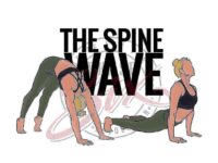 @ The Spine Wave Tutorial — The Spine Wave is an