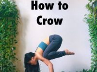 Daily Hatha Yoga @dailyhathayoga How to Crow Packed all the things