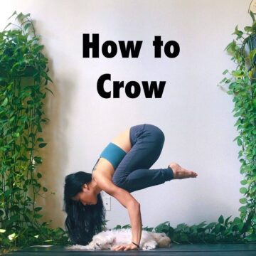 Daily Hatha Yoga @dailyhathayoga How to Crow Packed all the things