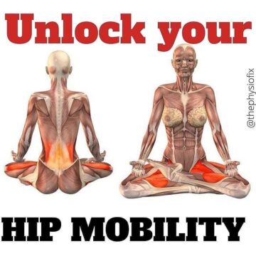 Daily Hatha Yoga Follow @yogadailycommunity Unlock Your Hip Mobility Find