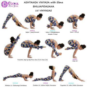 Elena Miss Yoga @elenamissyoga AshtangaVinyasawithElena Bhujapidasana 15 Vinyasa Nasagre Drsti