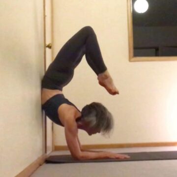 Gabrielle Edwards Yoga @gabrielle edwards yoga Day 23 startatthewall with @cyogalife scorpion forearmbalance