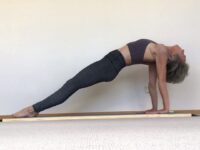 Gabrielle Edwards Yoga Day 7 yogidandafever with @cyogalife plankup purvottanasana