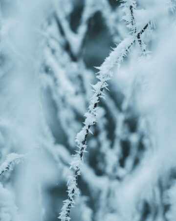 Gino Leevke @acrowidmutz A last glimpse of winter acrowidmutz glimpseofwinter