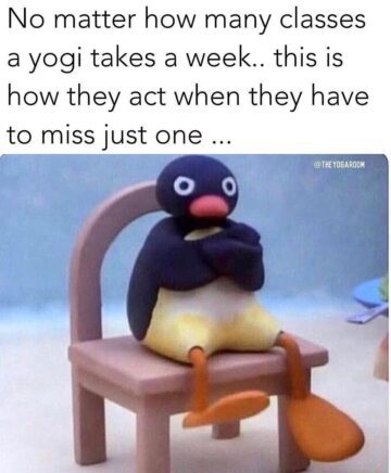 Hatha Yoga Classes @hathayogaclasses Temper tantrum beginning in 32 goooooo •