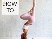 Hatha Yoga Classes HOW TO HOLLOW PINCHA • Follow @hathayogaclasses